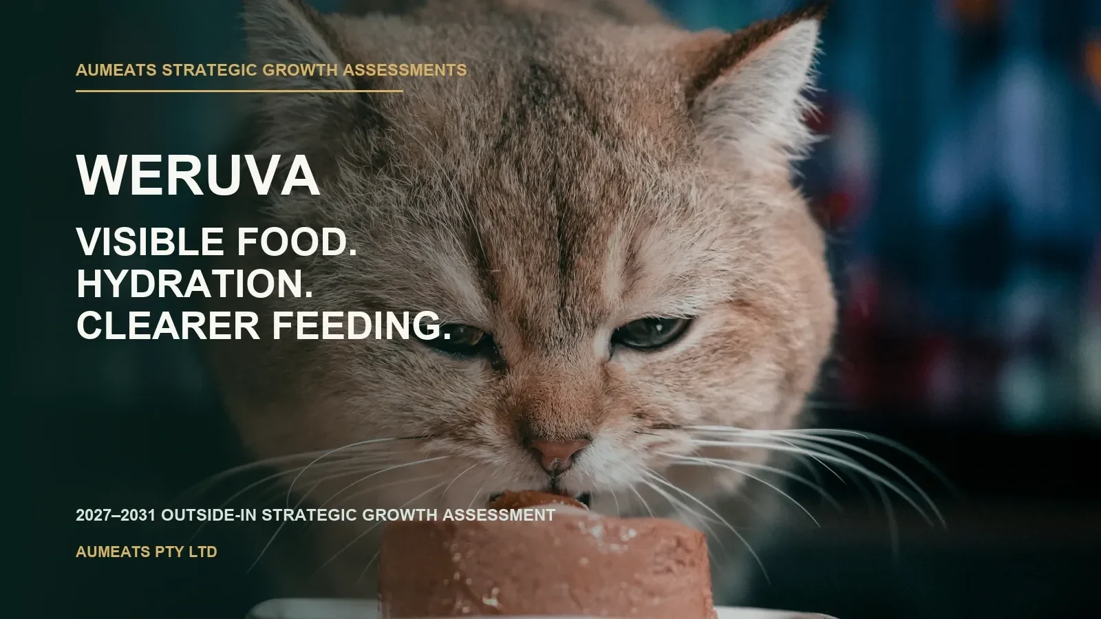 Weruva strategic growth assessment cover image featuring visible food, hydration and feeding experience.
