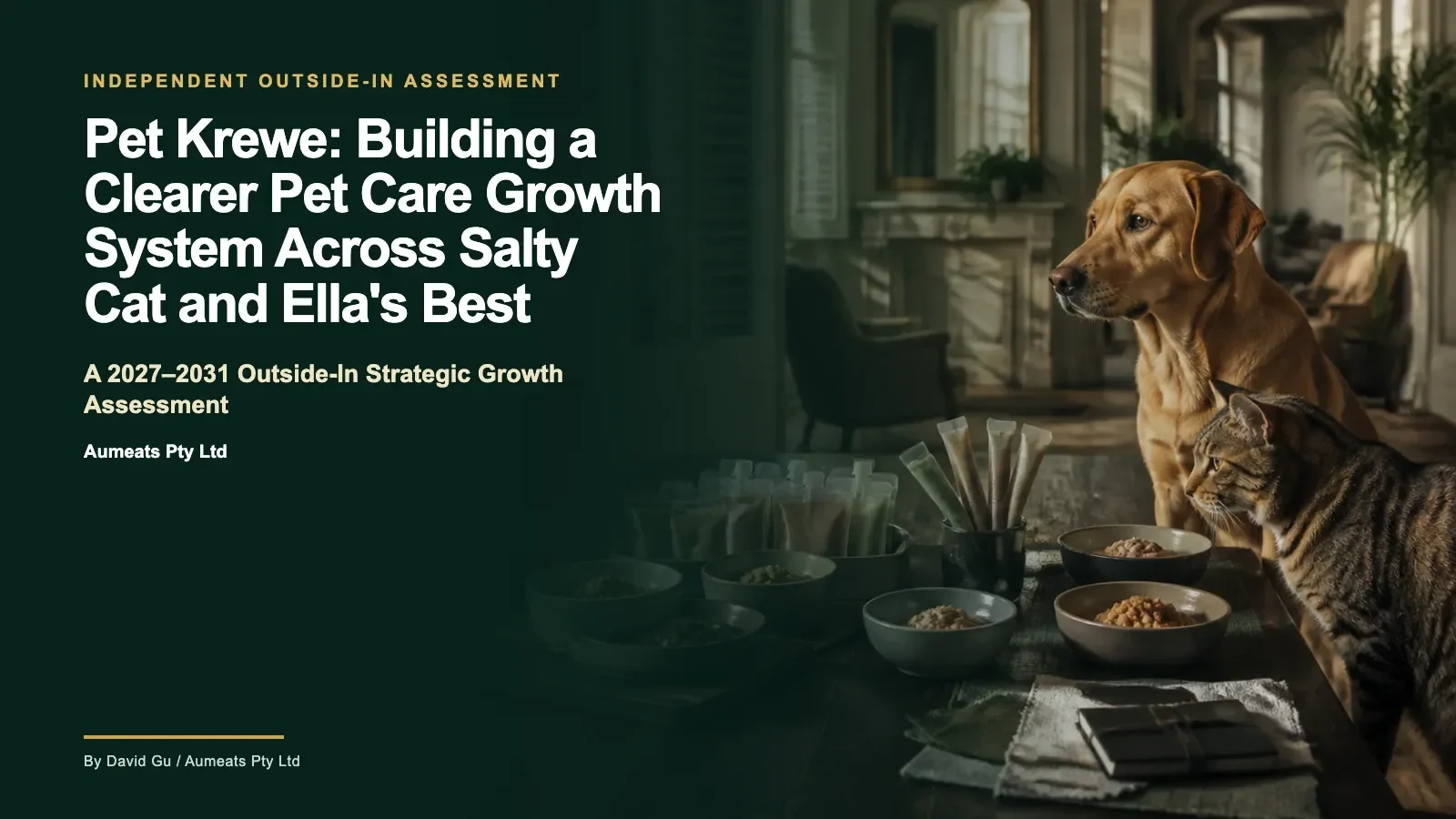 Cover image for Pet Krewe: Building a Clearer Pet Care Growth System Across Salty Cat and Ella's Best