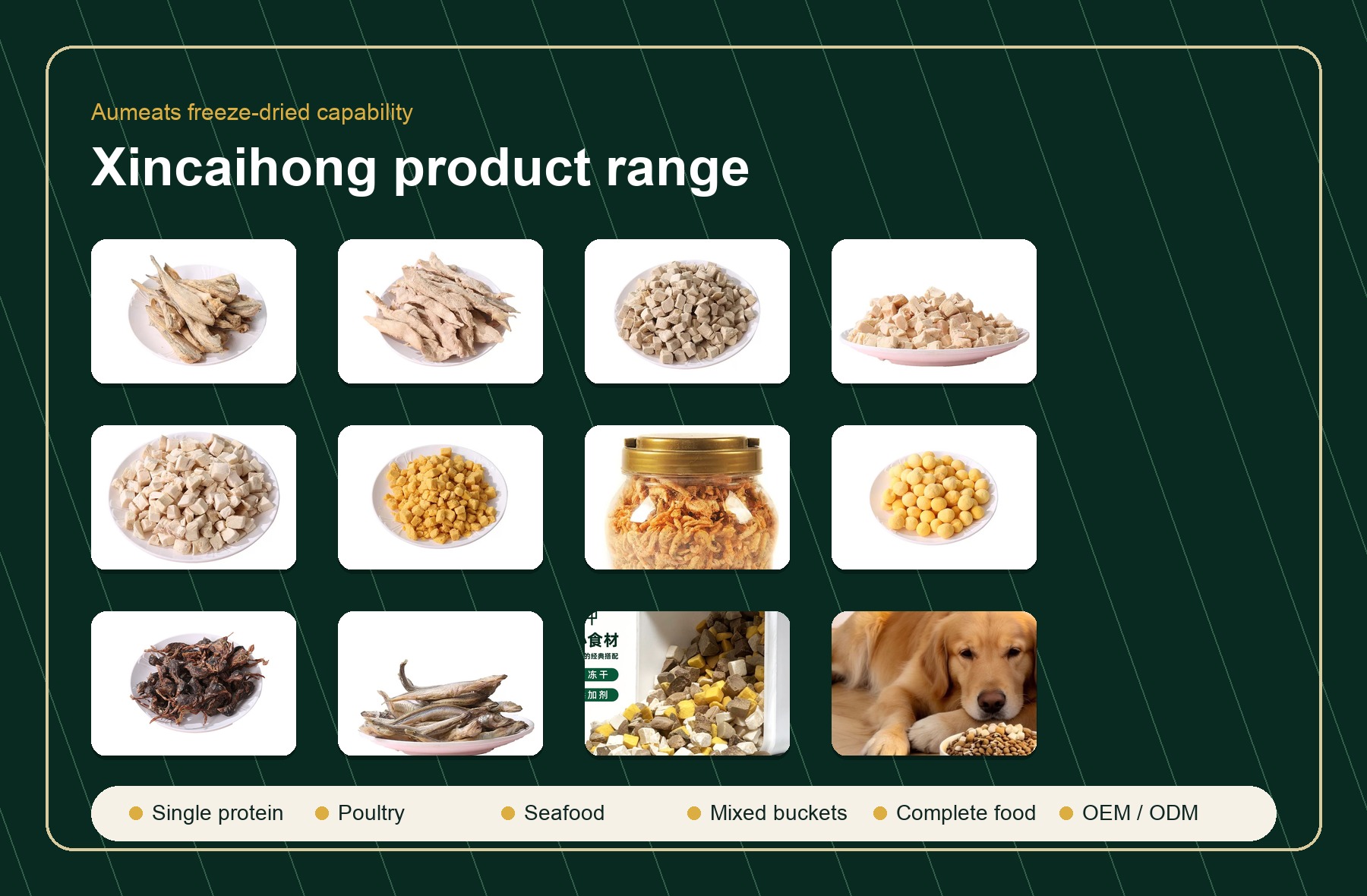 Representative freeze-dried product formats
