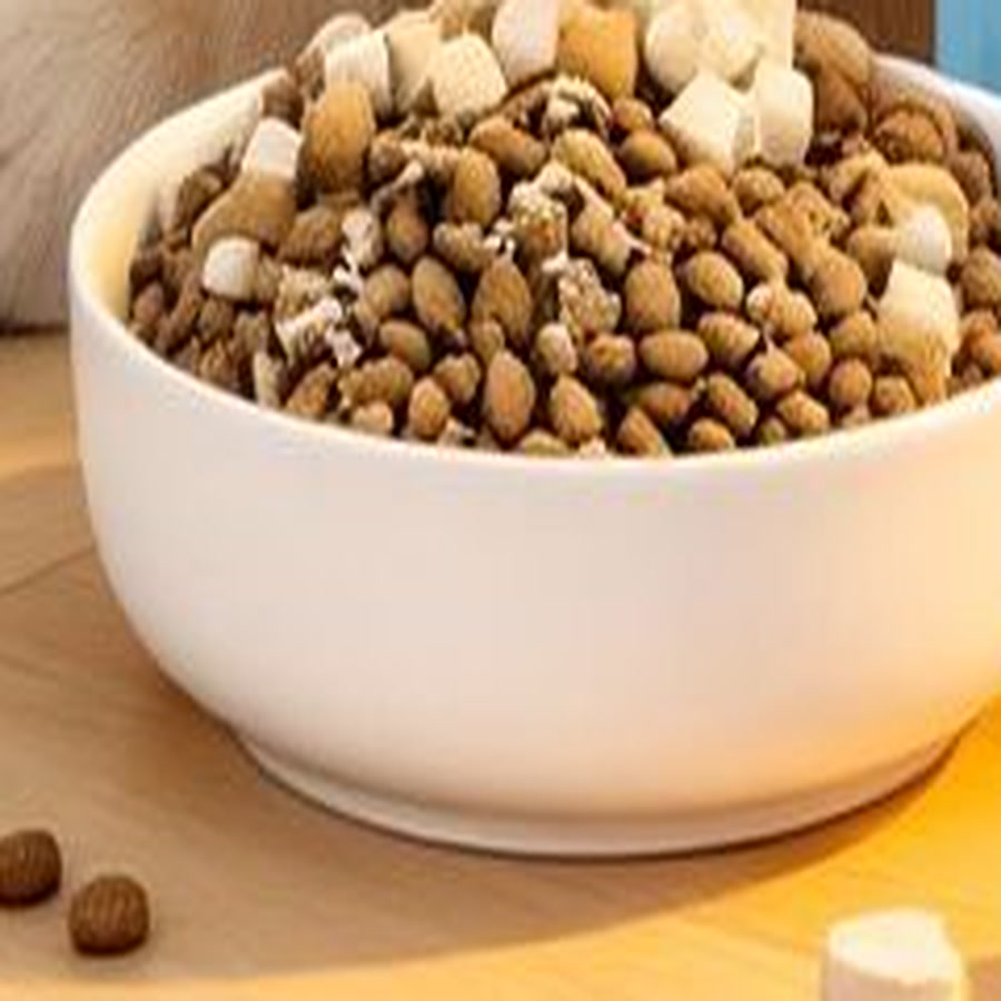 Freeze-dried dog product concept