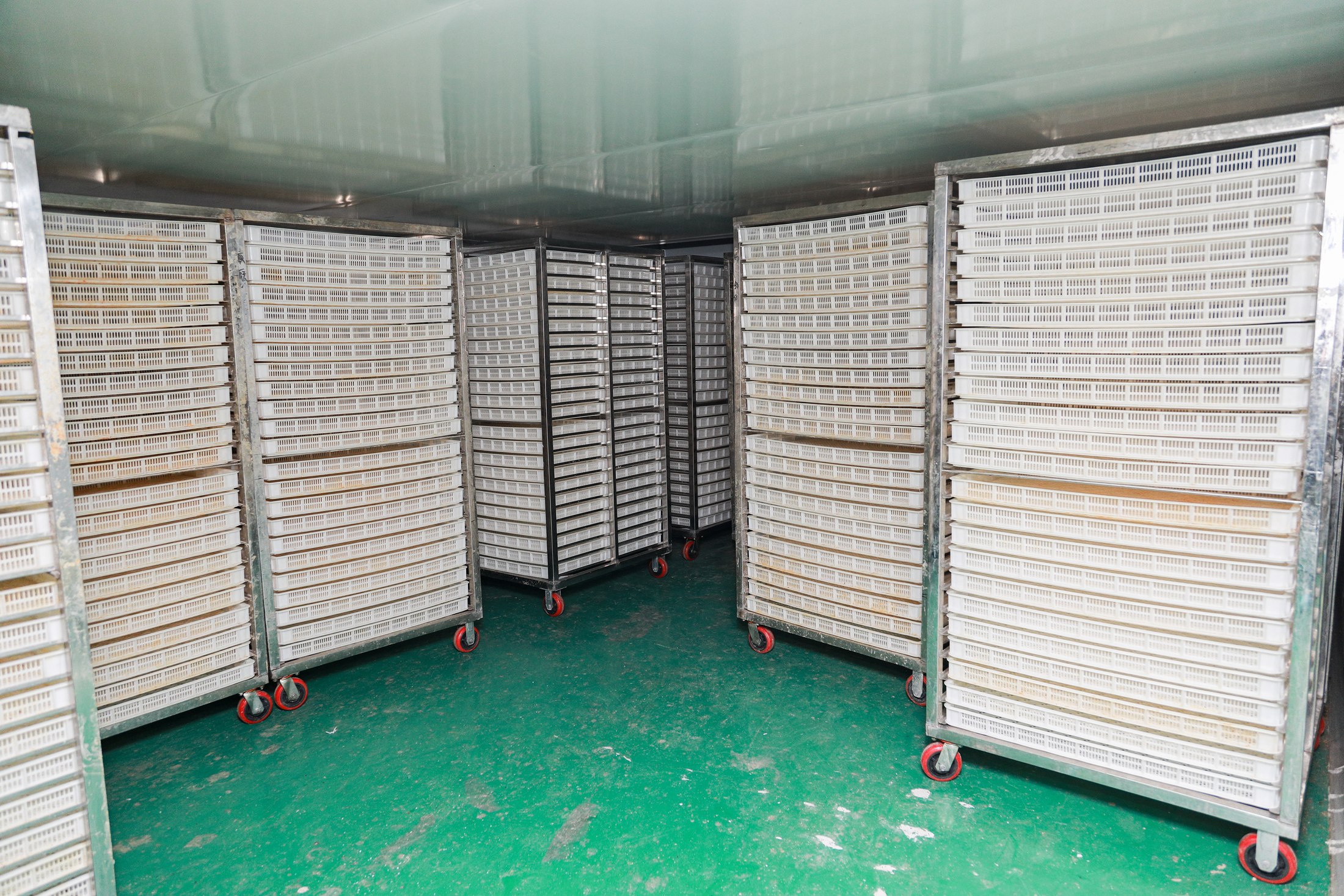 Drying area at Aumeats Yida Meat Treat & Chew Production Base
